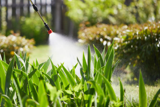 24/7 Emergency Wasp Removal experts in East Milton, FL