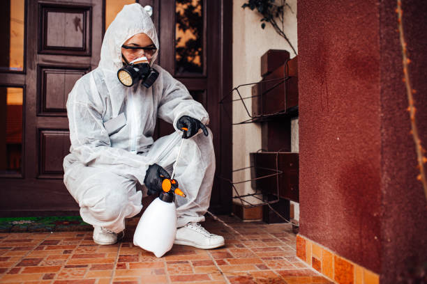Reliable Wasp Removal contractor in East Milton, FL by Show Me Pest Control