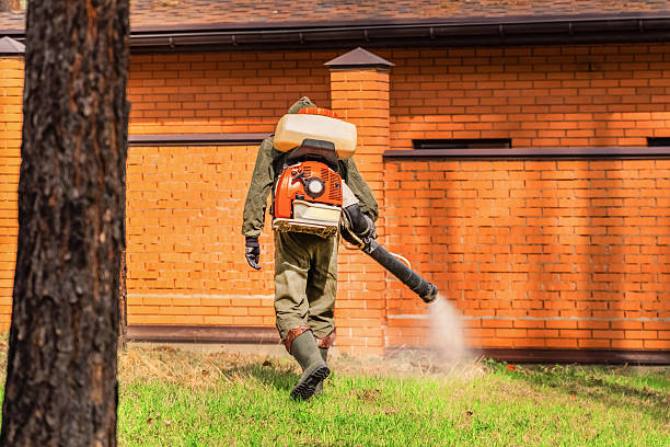 Top rated local Wasp Removal specialists in East Milton, FL